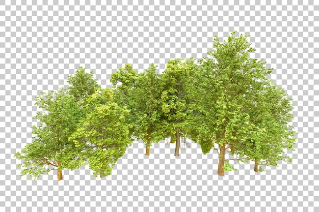 Foresta verde isolata su uno sfondo trasparente illustrazione di rendering 3D