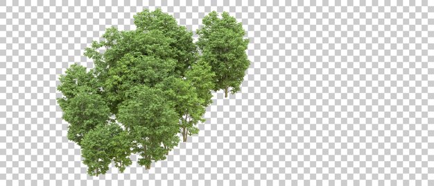 Foresta verde isolata sull'illustrazione del rendering 3d dello sfondo