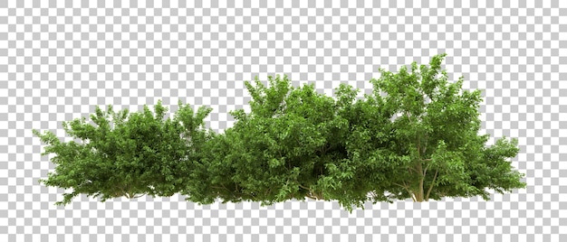 Foresta verde isolata sull'illustrazione del rendering 3d dello sfondo