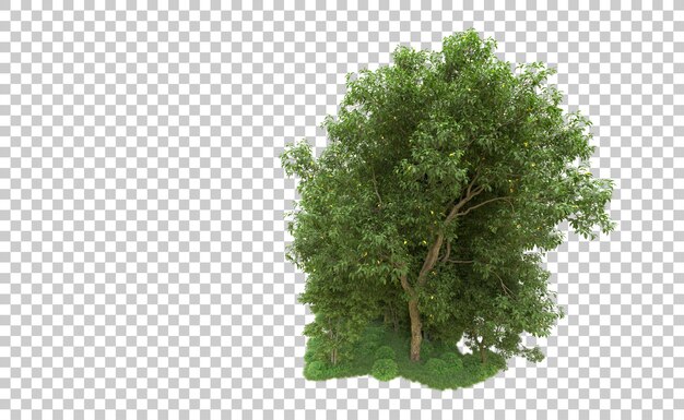 Foresta verde isolata sullo sfondo illustrazione di rendering 3D