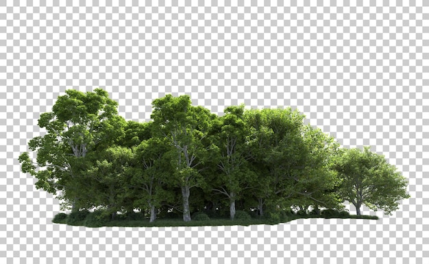 Foresta verde isolata sullo sfondo illustrazione di rendering 3D