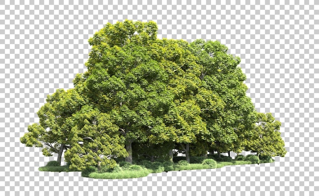 Foresta verde isolata sullo sfondo illustrazione di rendering 3D