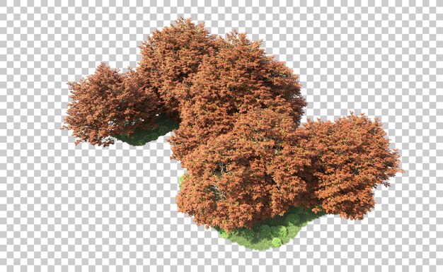 Foresta verde isolata sullo sfondo illustrazione di rendering 3D