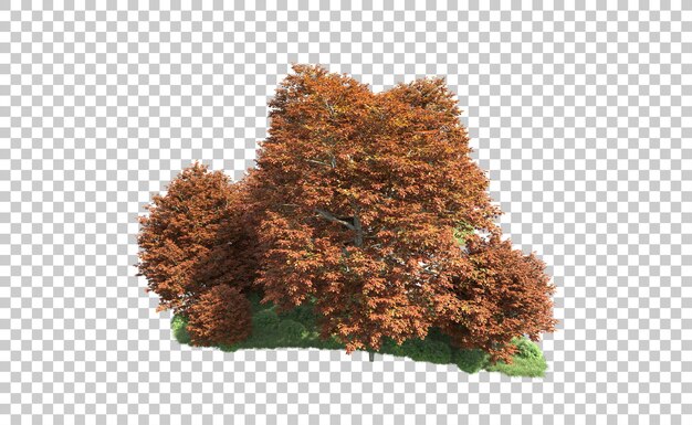 Foresta verde isolata sullo sfondo illustrazione di rendering 3D