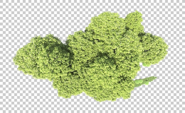 Foresta verde isolata sullo sfondo illustrazione di rendering 3D