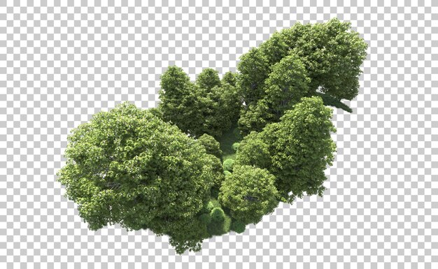Foresta verde isolata sullo sfondo illustrazione di rendering 3D