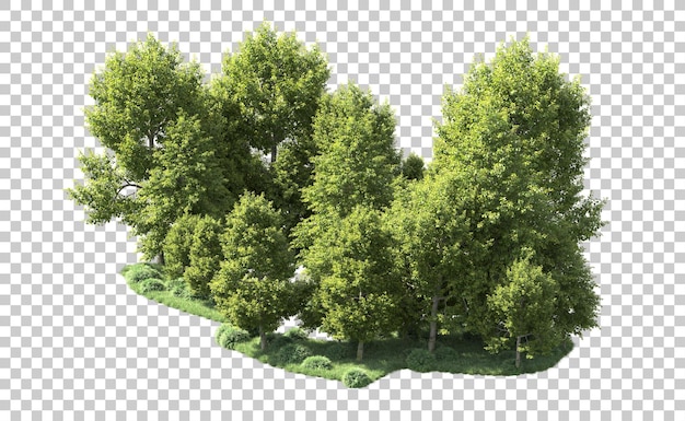 Foresta verde isolata sullo sfondo illustrazione di rendering 3D