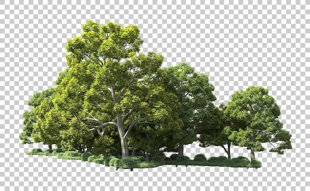 Foresta verde isolata sullo sfondo illustrazione di rendering 3D