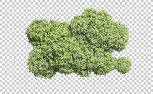 Foresta verde isolata sullo sfondo illustrazione di rendering 3D