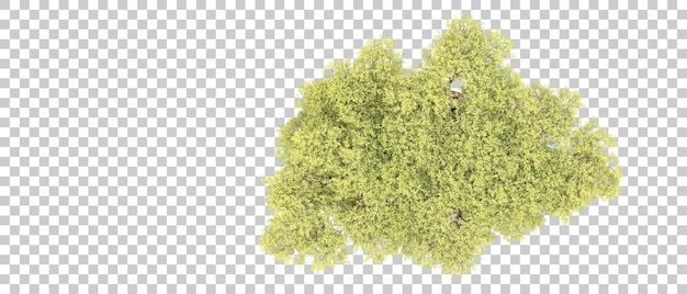 Foresta verde isolata sullo sfondo illustrazione di rendering 3D
