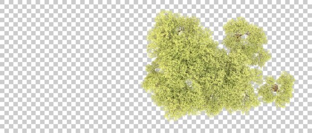 Foresta verde isolata sullo sfondo illustrazione di rendering 3D