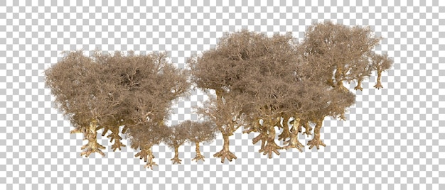 Foresta verde isolata sullo sfondo illustrazione di rendering 3D