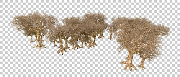 Foresta verde isolata sullo sfondo illustrazione di rendering 3D