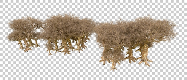 Foresta verde isolata sullo sfondo illustrazione di rendering 3D