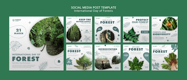 PSD forests day instagram beiträge vorlage mit foto