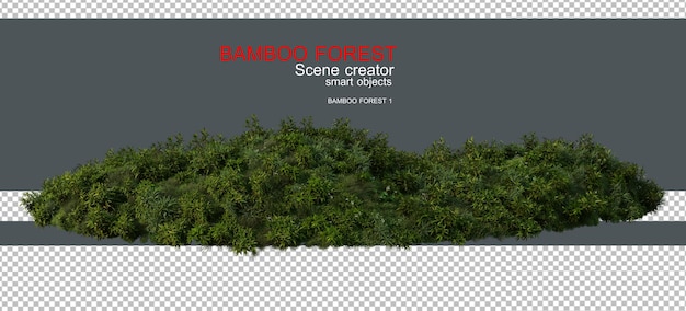 Forêt de bambou et prairie rendue en 3D