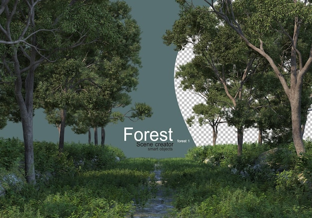 PSD forêt avec divers types d'arbres