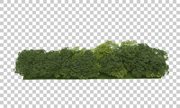 Forêt Sur Fond Transparent Illustration De Rendu 3d