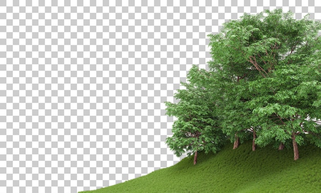 Forêt sur fond transparent illustration de rendu 3d