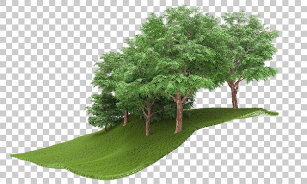 Forêt Sur Fond Transparent Illustration De Rendu 3d