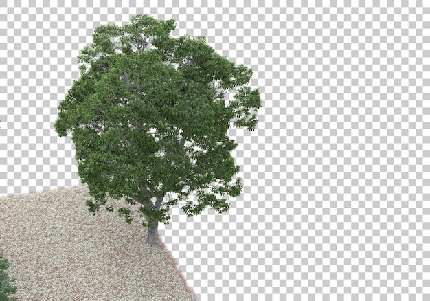 Forêt Sur Fond Transparent Illustration De Rendu 3d