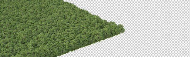 Forêt sur fond transparent illustration de rendu 3d