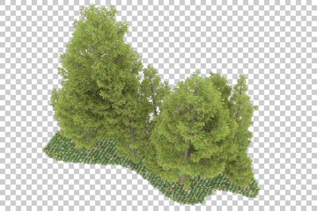 Forêt Sur Fond Transparent. Rendu 3d - Illustration