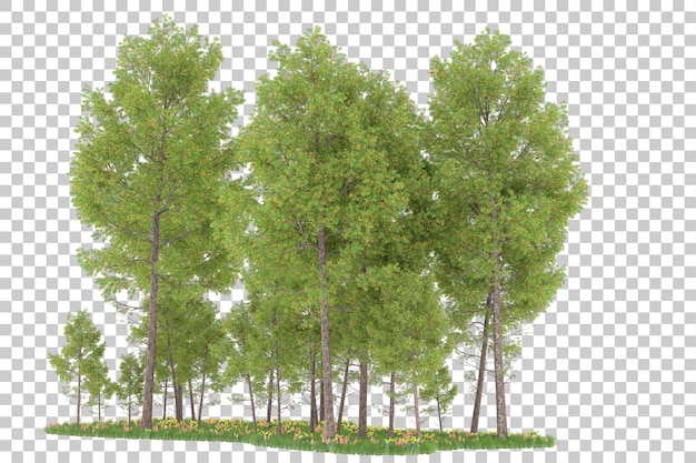 Forêt Sur Fond Transparent. Rendu 3d - Illustration