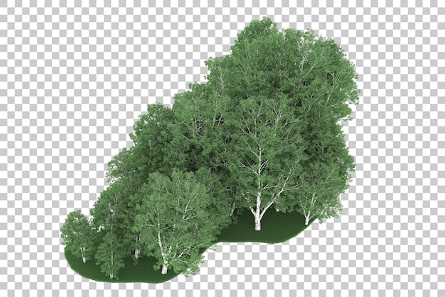 Forêt Sur Fond Transparent. Rendu 3d - Illustration