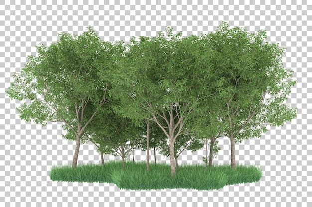Forêt sur fond transparent. rendu 3d - illustration