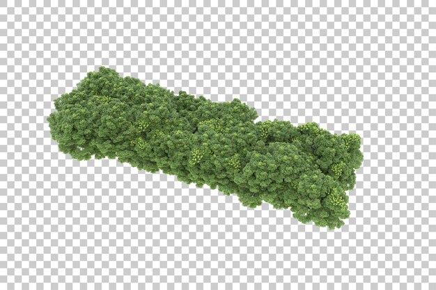 Forêt sur fond transparent. rendu 3d - illustration