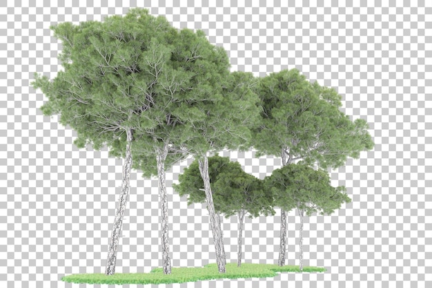 Forêt Sur Fond Transparent. Rendu 3d - Illustration