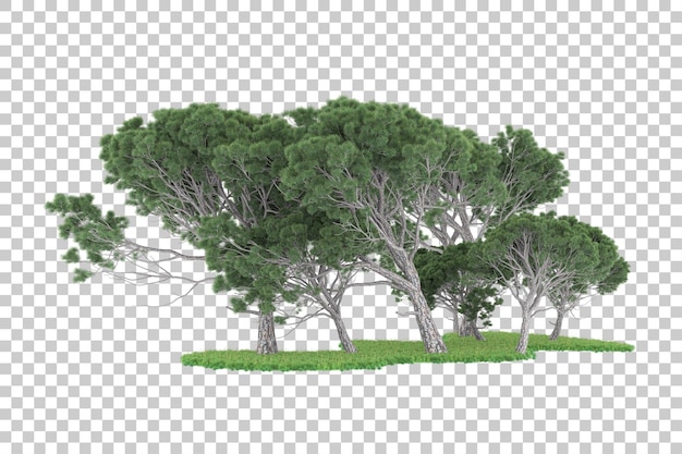 Forêt Sur Fond Transparent. Rendu 3d - Illustration