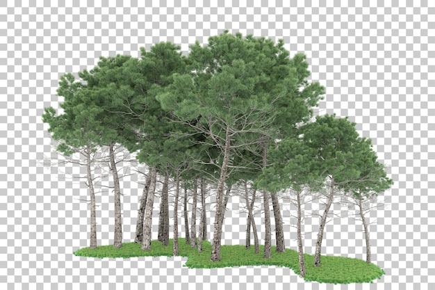 Forêt Sur Fond Transparent. Rendu 3d - Illustration