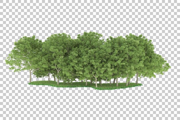 Forêt sur fond transparent. rendu 3d - illustration