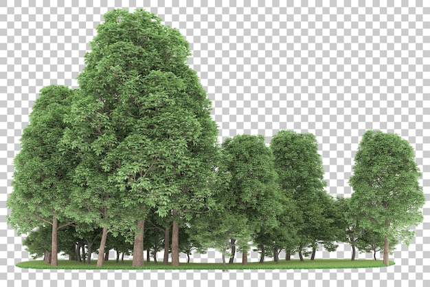 PSD forêt sur fond transparent. rendu 3d - illustration