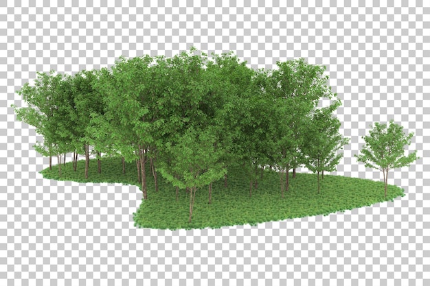 Forêt sur fond transparent. rendu 3d - illustration