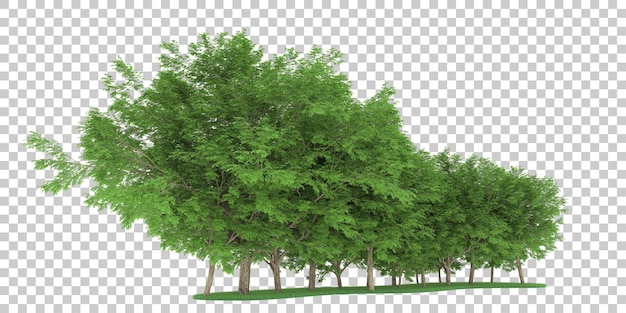 Forêt sur fond transparent. rendu 3d - illustration