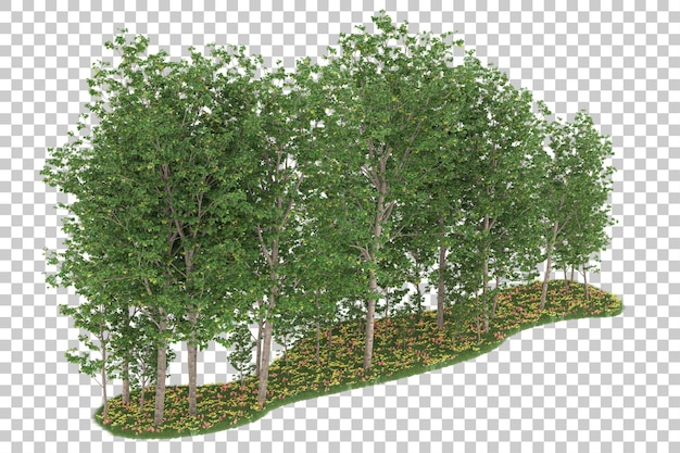 Forêt Sur Fond Transparent. Rendu 3d - Illustration