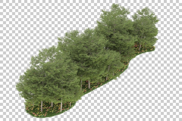 Forêt Sur Fond Transparent. Rendu 3d - Illustration