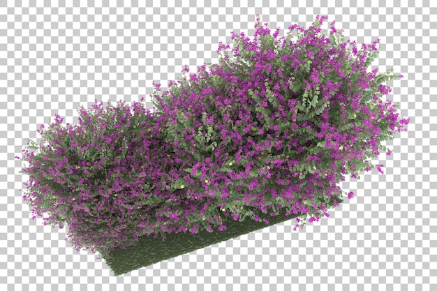 Forêt sur fond transparent. rendu 3d - illustration