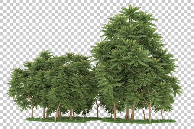 Forêt Sur Fond Transparent. Rendu 3d - Illustration