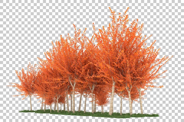 PSD forêt sur fond transparent. rendu 3d - illustration