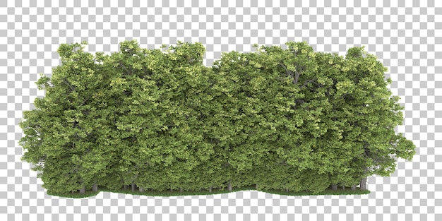 Forêt sur fond transparent. rendu 3d - illustration
