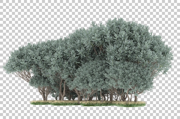 Forêt sur fond transparent. rendu 3d - illustration