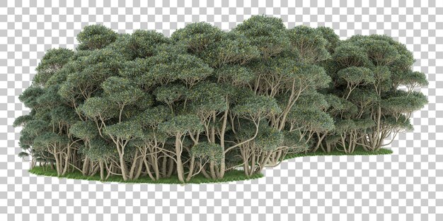 Forêt Sur Fond Transparent. Rendu 3d - Illustration