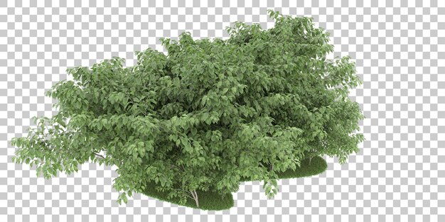 Forêt Sur Fond Transparent. Rendu 3d - Illustration
