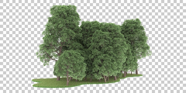 PSD forêt sur fond transparent. rendu 3d - illustration