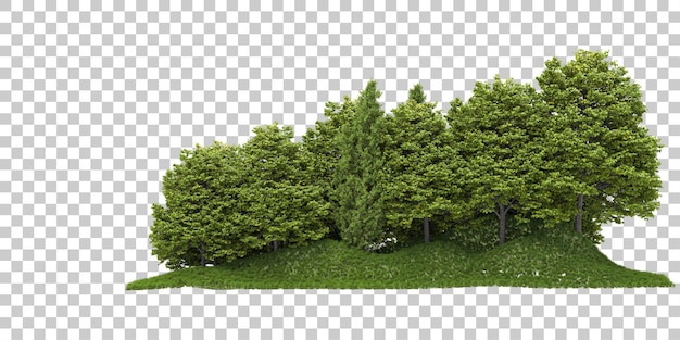 Forêt Isolée Sur Fond Transparent Illustration De Rendu 3d