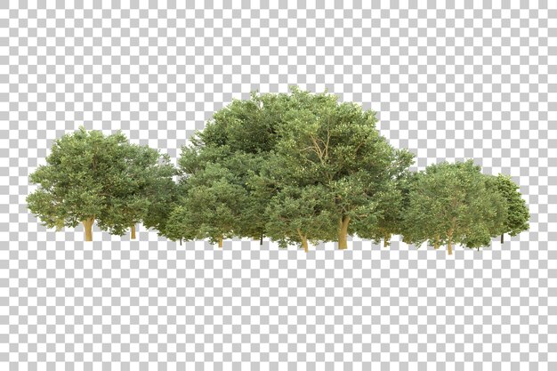Forêt réaliste isolée sur fond transparent illustration de rendu 3D